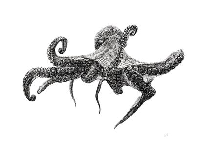 Octopoda print